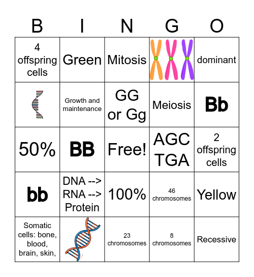 Mitosis, Meiosis, and Heredity Bingo Card