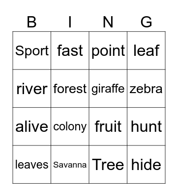 Where do animals live? Bingo Card