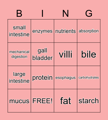 Digestive System Bingo Card