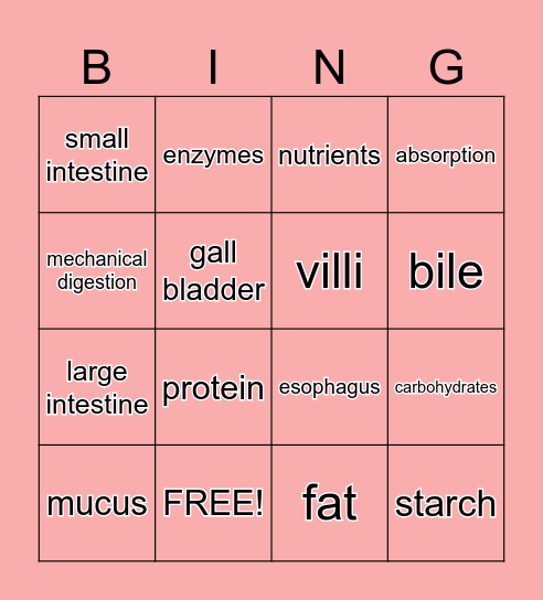 Digestive System Bingo Card