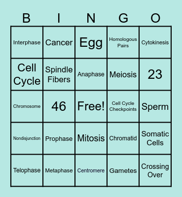 Cell Division Bingo Card