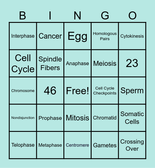 Cell Division Bingo Card