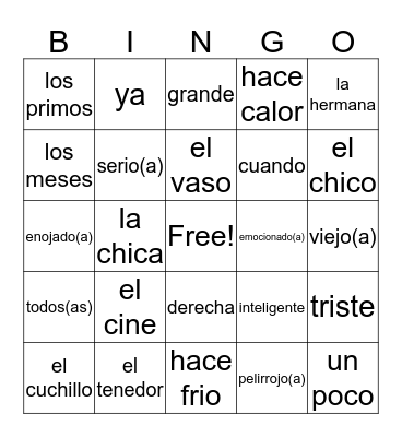 Vocabulary Velocity  Bingo Card