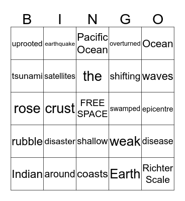 Disaster around the Indian Ocean Bingo Card