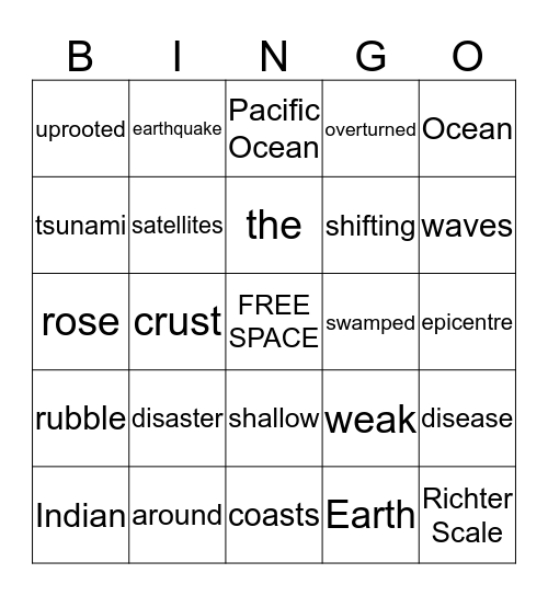 Disaster around the Indian Ocean Bingo Card