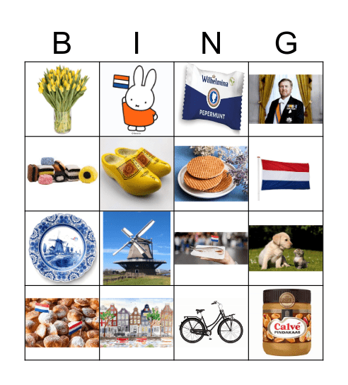 Holland Bingo 3 Bingo Card