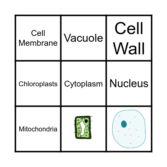 Animal and Plant Cells Bingo Card