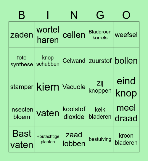 Planten Bingo Card