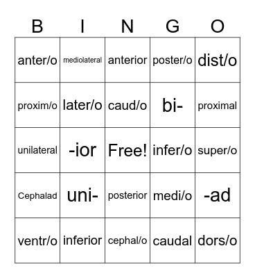 Chapter 3 Bingo Card