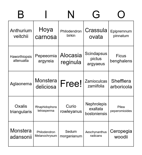 House Plant Bingo Card