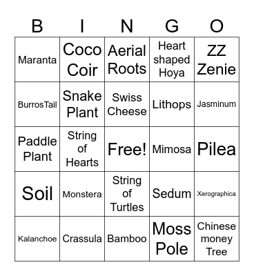 House Plant Bingo Card