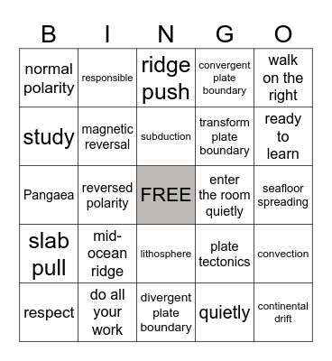 PLATE TECTONICS Bingo Card