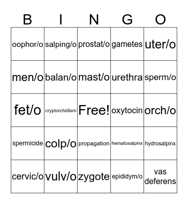 Reproductive System  Bingo Card