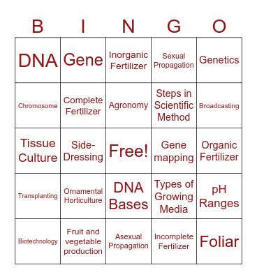 3.0 Vocabulary Bingo Card