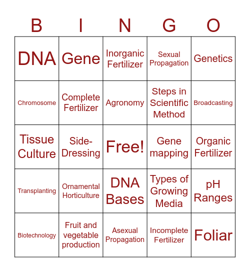 3.0 Vocabulary Bingo Card