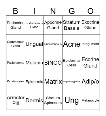 Integumentary System Bingo Card