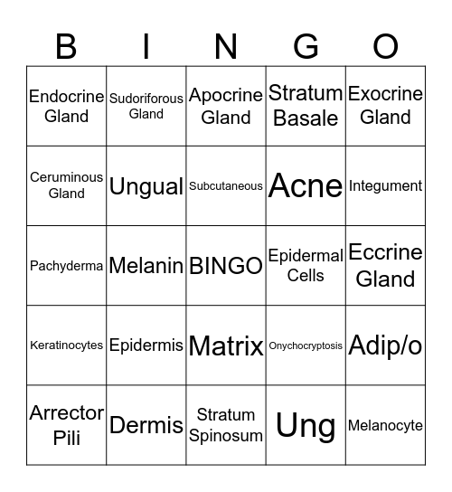 Integumentary System Bingo Card