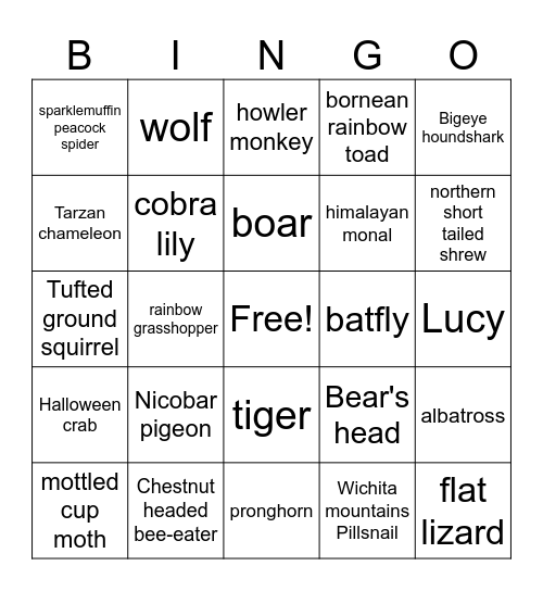 March Mammal Madness 2024 Bingo Card