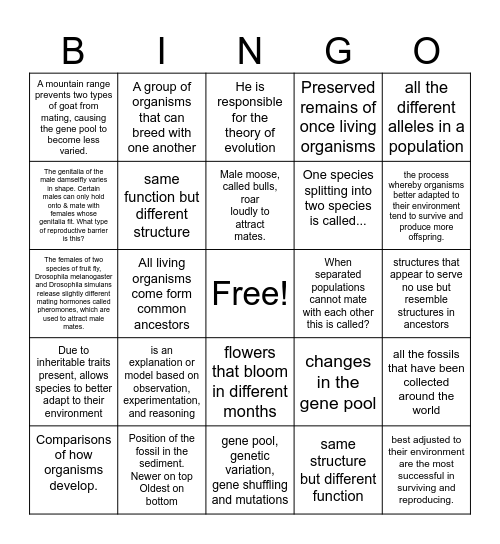 Evolution Unit Bingo Card