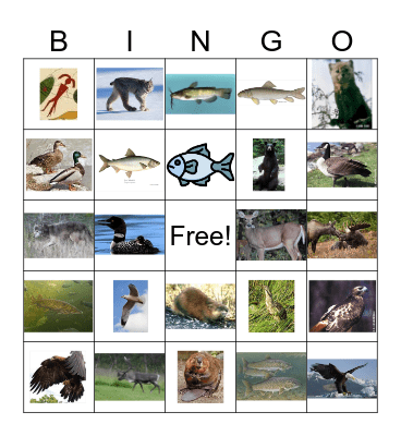 (Doodem) Bingo Card
