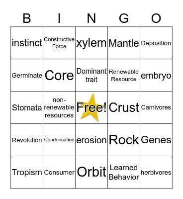 Science Review Bingo Card