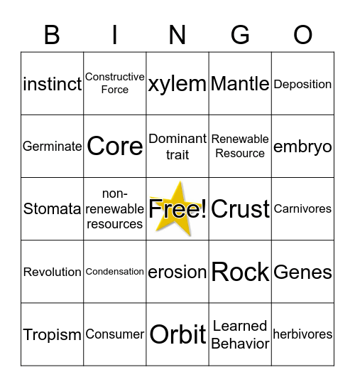 Science Review Bingo Card