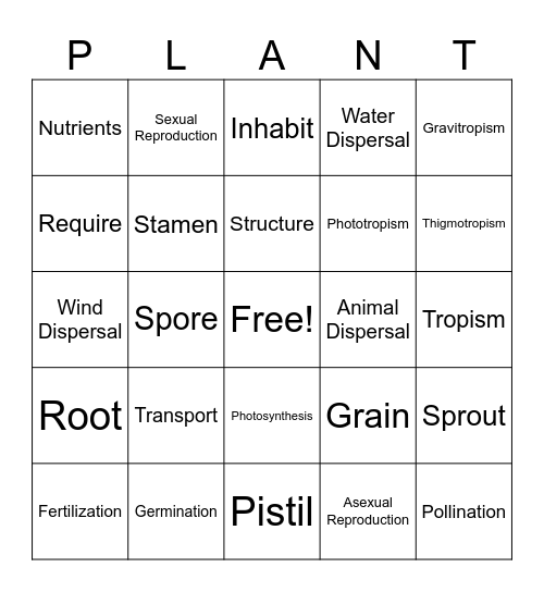 Plant Reproduction Review Bingo Card