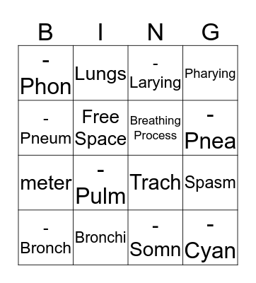 Respiratory System Bingo Card
