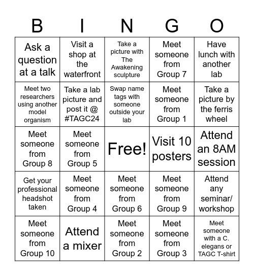 Group 4 Bingo Card