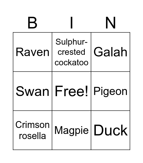 Bird bingo Card