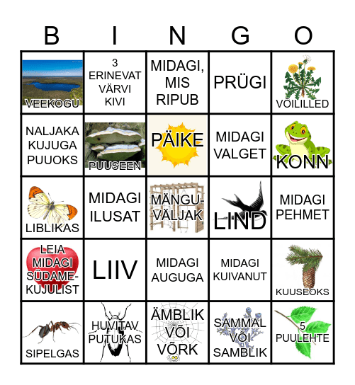 Maipõrnikate bingo 2.06.2023 Bingo Card