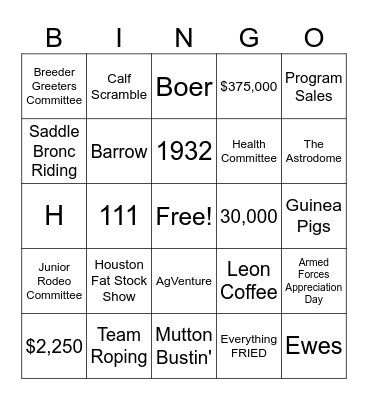Houston Rodeo Bingo Card