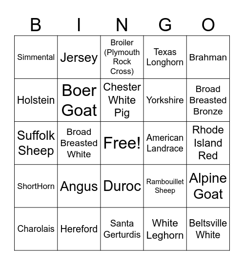 Livestock Breeds Bingo Card