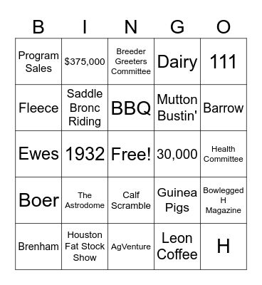 Houston Rodeo Bingo Card