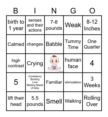 Infant Test Review Bingo Card