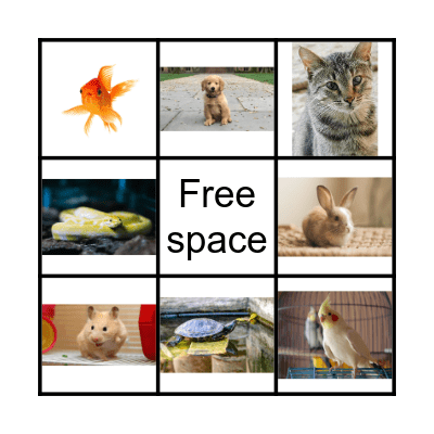 Pet Bingo Card