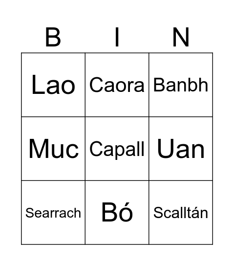 Ainmhithe Bingo Card