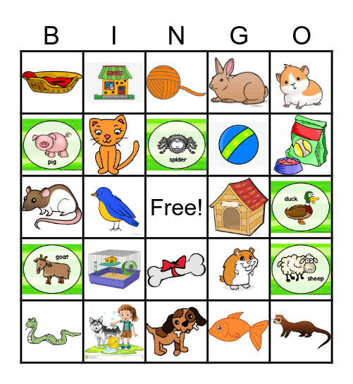 Pet Study Bingo Card