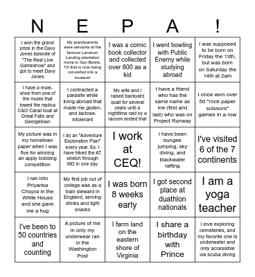 NICE Team Fun Facts Bingo Card