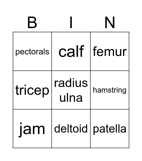 Muscles, bones, joints Bingo Card