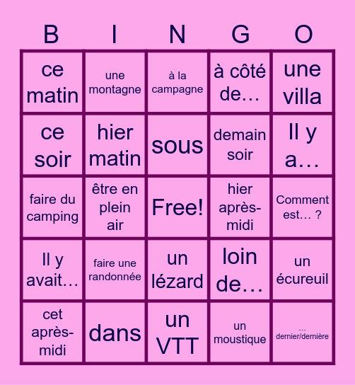 French 2 Chapitre 4: En plein air Chapitre 4.1: Un week-end dans la nature Vocabulary List Bingo Card