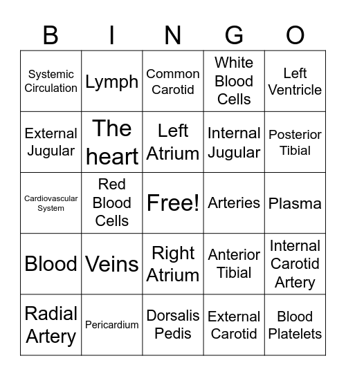 The Circulatory System Bingo Card