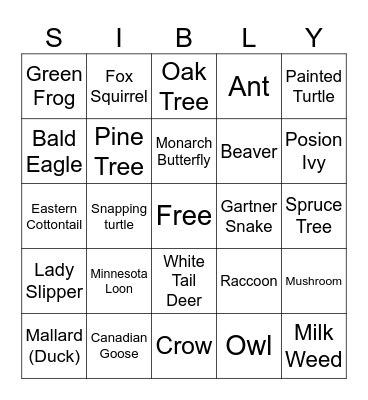 Minnesota Bingo Card