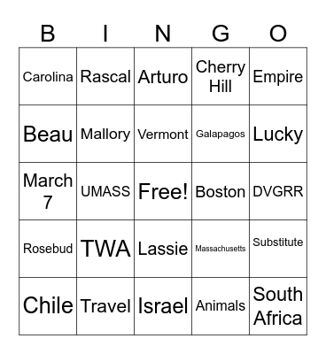 Evelyn's 70th Bingo Card