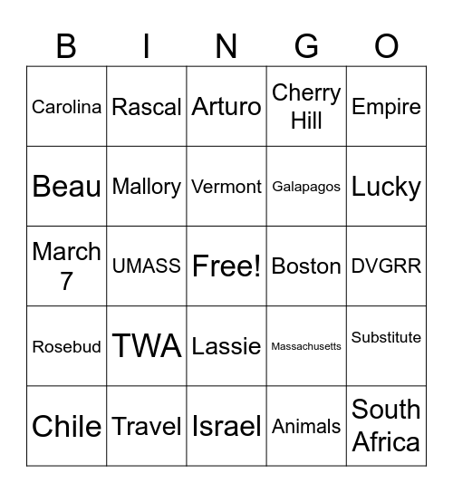 Evelyn's 70th Bingo Card