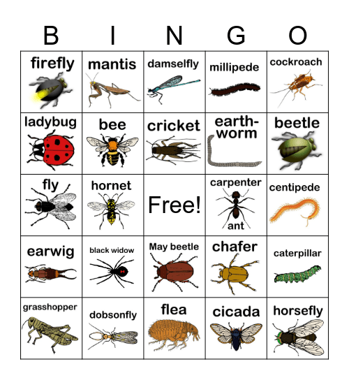 Bugs and Insects Bingo Card