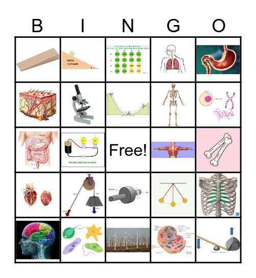 VOCABULARIO 7TH DL Bingo Card