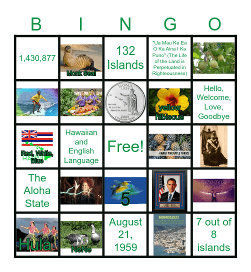 Hawaii  *Aloha* Bingo Card