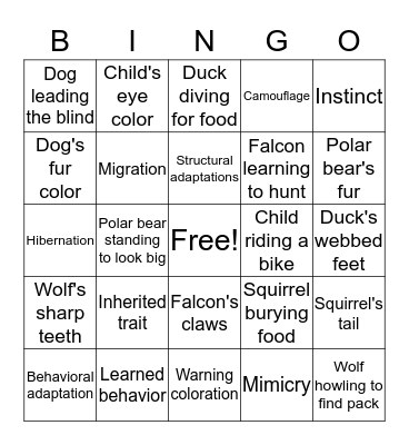 Adaptations Bingo Card
