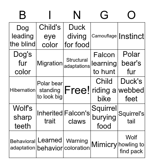 Adaptations Bingo Card